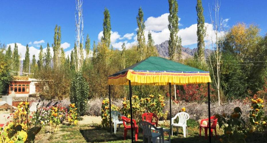 Hunder Resort, Nubra, Nubra valley 5